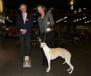 Nicky Nederlands Veteranen Kampioen