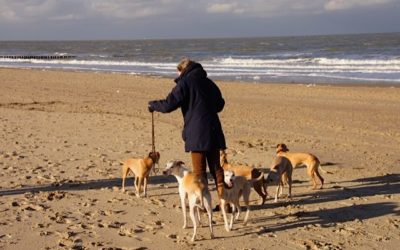 Een dag naar het strand