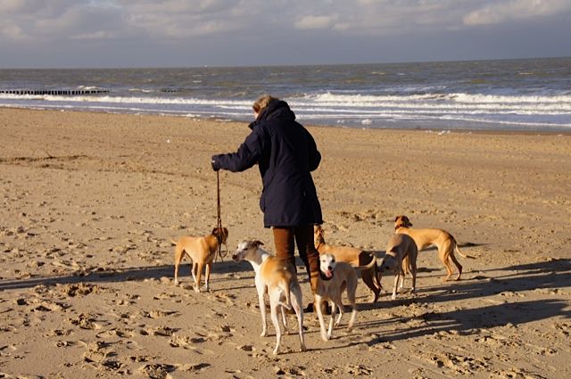 Een dag naar het strand