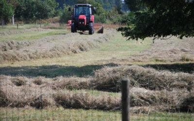 Natuurlijk zitten wij niet de hele dag te