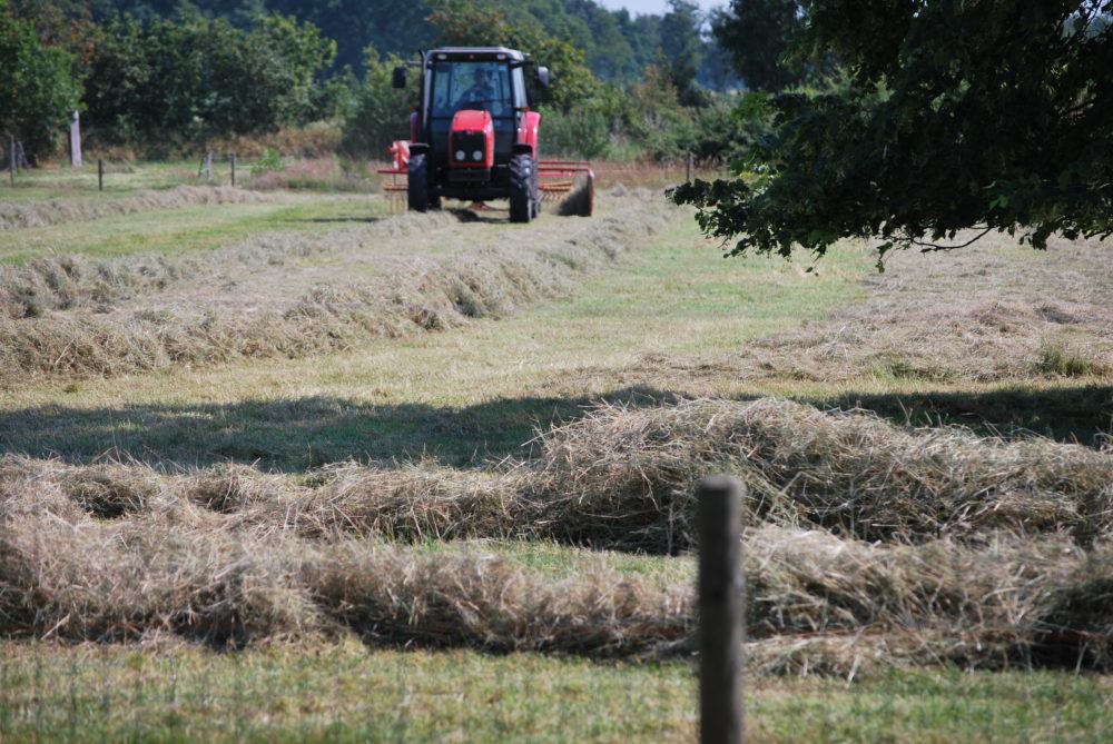 Natuurlijk zitten wij niet de hele dag te