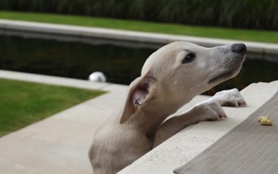 Louis op visite bij familie