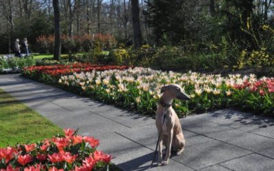 Er zijn veel foto’s van de Southgrove familie binnen gekomen, kijk maar mee…