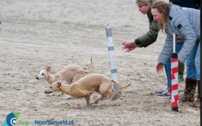 Belevenissen van de laatste twee weken